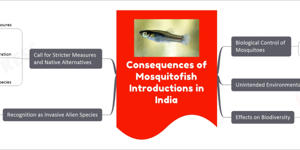 Consequences of Mosquitofish Introductions in India mind map Biological Control of Mosquitoes Use of mosquitofish Gambusia affinis Gambusia holbrooki Introduced in the 1920s Unintended Environmental Impact Ecological Problems Displacement and predation of native fauna Extinction of native species Studies Harmful consequences in various regions Effects on Biodiversity Decline in Tadpoles Endemic fish species in Australia Recognition as Invasive Alien Species World Health Organization Stopped recommending Gambusia in 1982 Government of India Designated G. affinis and G. holbrooki as invasive in 2018 Call for Stricter Measures and Native Alternatives Enforcement Measures Prevent further introductions Collaboration Mosquito biologists Invasion ecologists Fish taxonomists Native Fish Species For mosquito larvae control