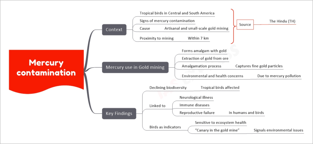 Mercury contamination mind map
Context
Tropical birds in Central and South America
Signs of mercury contamination
Cause
Artisanal and small-scale gold mining
Proximity to mining
Within 7 km
Mercury use in Gold mining
Forms amalgam with gold
Extraction of gold from ore
Amalgamation process
Captures fine gold particles
Environmental and health concerns
Due to mercury pollution
Key Findings
Declining biodiversity
Tropical birds affected
Linked to
Neurological illness
Immune diseases
Reproductive failure
In humans and birds
Birds as indicators
Sensitive to ecosystem health
“Canary in the gold mine”
Signals environmental issues