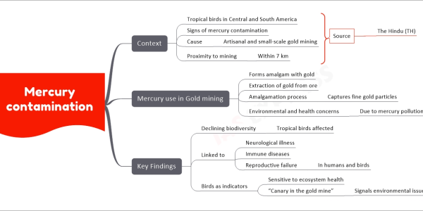 Mercury contamination mind map Context Tropical birds in Central and South America Signs of mercury contamination Cause Artisanal and small-scale gold mining Proximity to mining Within 7 km Mercury use in Gold mining Forms amalgam with gold Extraction of gold from ore Amalgamation process Captures fine gold particles Environmental and health concerns Due to mercury pollution Key Findings Declining biodiversity Tropical birds affected Linked to Neurological illness Immune diseases Reproductive failure In humans and birds Birds as indicators Sensitive to ecosystem health “Canary in the gold mine” Signals environmental issues