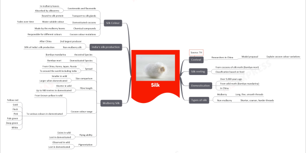 Silk mind map Context Researchers in China Model proposal Explain cocoon colour variations Source: TH Silk reeling From cocoons of silk moth (Bombyx mori) Classification based on feed Domestication Over 5,000 years ago From wild moth (Bombyx mandarina) In China Types of silk Mulberry Long, fine, smooth threads Non-mulberry Shorter, coarser, harder threads Mulberry Silk Ancestral Species Bombyx mandarina Domesticated Species Bombyx mori Spread From China, Korea, Japan, Russia To around the world including India Size comparison Smaller in wild Larger when domesticated Fibre length Shorter in wild Up to 900 metres in domesticated Cocoon colour range From brown-yellow in wild To various colours in domesticated Yellow-red Gold Flesh Pink Pale green Deep green White Flying ability Exists in wild Lost in domesticated Pigmentation Observed in wild Lost in domesticated India's silk production 2nd largest producer After China Non-mulberry silk 30% of India's silk production Silk Colour Carotenoids and flavonoids In mulberry leaves Absorbed by silkworms Transport to silk glands Bound to silk protein Domesticated cocoons Water soluble colour Fades over time Chemical compounds Made by the mulberry leaves Cocoon colour mutations Responsible for different colours