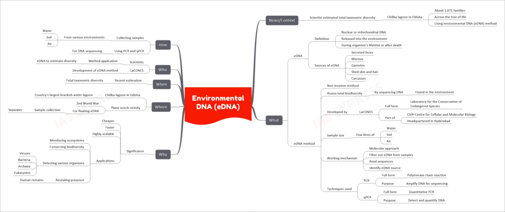 Environmental DNA (eDNA) mind map
News/Context
Scientist estimated total taxonomic diversity
Chilika lagoon in Odisha
About 1,071 families
Across the tree of life
Using environmental DNA (eDNA) method
What
eDNA
Definition
Nuclear or mitochondrial DNA
Released into the environment
During organism's lifetime or after death
Sources of eDNA
Secreted feces
Mucous
Gametes
Shed skin and hair
Carcasses
eDNA method
Non-invasive method
Assess total biodiversity
By sequencing DNA
Found in the environment
Developed by
LaCONES
Full form
Laboratory for the Conservation of Endangered Species
Part of
CSIR-Centre for Cellular and Molecular Biology
Headquartered in Hyderabad
Sample size
Few litres of
Water
Soil
Air
Working mechanism
Molecular approach
Filter out eDNA from samples
Read sequences
Identify eDNA source
Techniques used
PCR
Full form
Polymerase chain reaction
Purpose
Amplify DNA for sequencing
qPCR
Full form
Quantitative PCR
Purpose
Detect and quantify DNA
Why
Significance
Cheaper
Faster
Highly scalable
Applications
Monitoring ecosystems
Conserving biodiversity
Detecting various organisms
Viruses
Bacteria
Archaea
Eukaryotes
Revealing presence
Human remains
Where
Chilika lagoon in Odisha
Country's largest brackish water lagoon
Plane wreck vicinity
2nd World War
For floating eDNA
Sample collection
Seawater
When
Recent estimation
Total taxonomic diversity
Who
Scientists
Method application
eDNA to estimate diversity
LaCONES
Development of eDNA method
How
Collecting samples
From various environments
Water
Soil
Air
Using PCR and qPCR
For DNA sequencing