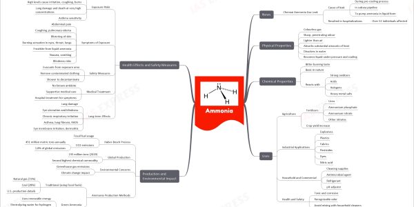 mind map