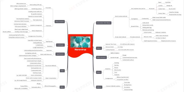 comprehensive mind map