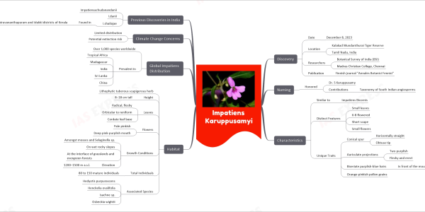 mind map for faster learning