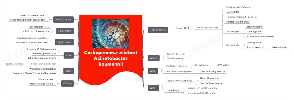 Carbapenem-resistant Acinetobacter baumannii mind map
Recent News
January 2024
Novel antibiotic class
Roche scientists' discovery
Targets CRAB
Tethered macrocyclic peptides
Inhibit bacterium's wall
Zosurabalpin
Highly effective
Treating CRAB
In vitro and mouse models
Human trials
Starting phase
Results expected
Later in the year
When
Identified recently
Trials beginning
Why
CRAB highly resistant
Mortality rates
40% to 60%
Limited treatment options
Often multi-drug resistant
What
Tethered MCP antibiotics
Block LPS transport
Essential for resistance
Zosurabalpin
Inhibits LptB_{2}FGC complex
Effective against 129 isolates
Where
Global concern
Research based in Basel
Who
Roche Innovation Center
Basel researchers
World Health Organization
Centers for Disease Control and Prevention
How
Screening 45,000 compounds
Identifying potent MCPs
Lab and mouse experiments
Significance
Promising treatment paradigm
Potential for invasive infections
Challenges
High mortality rates
Limited current treatments
Way Forward
Await human trial results
Further development of zosurabalpin