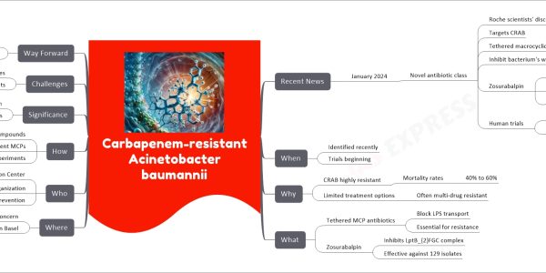 Carbapenem-resistant Acinetobacter baumannii mind map Recent News January 2024 Novel antibiotic class Roche scientists' discovery Targets CRAB Tethered macrocyclic peptides Inhibit bacterium's wall Zosurabalpin Highly effective Treating CRAB In vitro and mouse models Human trials Starting phase Results expected Later in the year When Identified recently Trials beginning Why CRAB highly resistant Mortality rates 40% to 60% Limited treatment options Often multi-drug resistant What Tethered MCP antibiotics Block LPS transport Essential for resistance Zosurabalpin Inhibits LptB_{2}FGC complex Effective against 129 isolates Where Global concern Research based in Basel Who Roche Innovation Center Basel researchers World Health Organization Centers for Disease Control and Prevention How Screening 45,000 compounds Identifying potent MCPs Lab and mouse experiments Significance Promising treatment paradigm Potential for invasive infections Challenges High mortality rates Limited current treatments Way Forward Await human trial results Further development of zosurabalpin