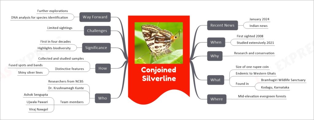 Conjoined Silverline mind map
Recent News
January 2024
Indian news
When
First sighted 2008
Studied extensively 2021
Why
Research and conservation
What
Size of one rupee coin
Endemic to Western Ghats
Found in
Bramhagiri Wildlife Sanctuary
Kodagu, Karnataka
Where
Mid-elevation evergreen forests
Who
Researchers from NCBS
Dr. Krushnamegh Kunte
Team members
Ashok Sengupta
Ujwala Pawari
Viraj Nawgel
How
Collected and studied samples
Distinctive features
Fused spots and bands
Shiny silver lines
Significance
First in four decades
Highlights biodiversity
Challenges
Limited sightings
Way Forward
Further explorations
DNA analysis for species identification