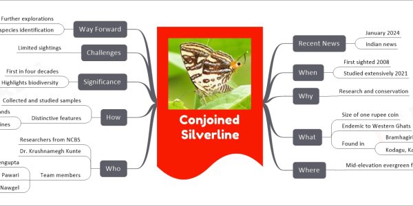 Conjoined Silverline mind map Recent News January 2024 Indian news When First sighted 2008 Studied extensively 2021 Why Research and conservation What Size of one rupee coin Endemic to Western Ghats Found in Bramhagiri Wildlife Sanctuary Kodagu, Karnataka Where Mid-elevation evergreen forests Who Researchers from NCBS Dr. Krushnamegh Kunte Team members Ashok Sengupta Ujwala Pawari Viraj Nawgel How Collected and studied samples Distinctive features Fused spots and bands Shiny silver lines Significance First in four decades Highlights biodiversity Challenges Limited sightings Way Forward Further explorations DNA analysis for species identification