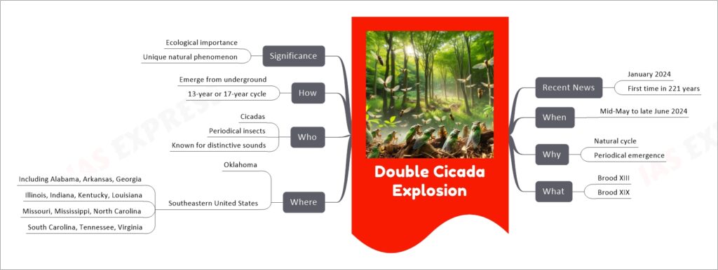 Double Cicada Explosion mind map
Recent News
January 2024
First time in 221 years
When
Mid-May to late June 2024
Why
Natural cycle
Periodical emergence
What
Brood XIII
Brood XIX
Where
Oklahoma
Southeastern United States
Including Alabama, Arkansas, Georgia
Illinois, Indiana, Kentucky, Louisiana
Missouri, Mississippi, North Carolina
South Carolina, Tennessee, Virginia
Who
Cicadas
Periodical insects
Known for distinctive sounds
How
Emerge from underground
13-year or 17-year cycle
Significance
Ecological importance
Unique natural phenomenon