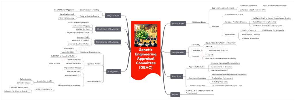 Genetic Engineering Appraisal Committee (GEAC) mind map
Recent News
GM Mustard Case
Supreme Court Involvement
Expressed Displeasure
Not Considering Expert Reports
Status Quo Since November 2022
Hearings
Started January 9, 2024
Advocate Prashant Bhushan
Highlighted Lack of Human Health Impact Studies
Raised Precautionary Principle
Mentioned Irreversible Consequences
Issues Raised
Conflict of Interest
ICAR Director Dr. Raj Paroda
Herbicide Use Concerns
Impact on Biodiversity
Composition
Chaired by
Special Secretary/Additional Secretary
MoEF & CC
Co-Chaired by
Representative from DBT
Members
24 Experts
From Various Ministries and Institutions
Functions
Approval of Activities
Involving Hazardous Microorganisms
Recombinants in Research
Industrial Production
Appraisal of Proposals
Release of Genetically Engineered Organisms
Products into Environment
Including Field Trials
Clearance Mandatory
For Environmental Release of GM Crops
Power
Punitive Action Under Environment Protection Act
Background
GM Mustard Development
In the 1990s
Patented in 2002
By CGMCP, University of Delhi
Approval Process
Technical Reviews
Safety Assessments
Over 10 Years
Rigorous Risk Analysis
Issues Resurfaced
October 18, 2022
Approval by MoEFCC
Challenged in Supreme Court
Moratorium Sought
By Petitioners
On GMOs Release
Cited Previous Reports
Calling for Ban on GMOs
In Centers of Origin or Diversity
Significance of GM crops
Increased Yield
Resistance to Disease
Improved Nutritional Value
Challenges of GM crops
Health and Safety Concerns
Environmental Impact
Biodiversity Risks
Regulatory Compliance Issues
Way Forward
Court's Decision Pending
On GM Mustard Approval
Need for Comprehensive
Biosafety Protocol
Public Transparency