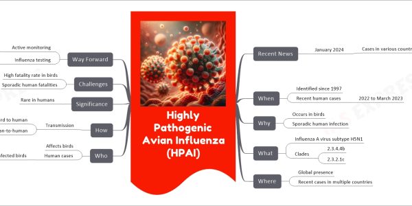 Highly Pathogenic Avian Influenza (HPAI) mind map Recent News January 2024 Cases in various countries United States China United Kingdom Spain Ecuador Vietnam When Identified since 1997 Recent human cases 2022 to March 2023 Why Occurs in birds Sporadic human infection What Influenza A virus subtype H5N1 Clades 2.3.4.4b 2.3.2.1c Where Global presence Recent cases in multiple countries Who Affects birds Human cases Exposed to infected birds How Transmission Bird to human Limited human-to-human Significance Rare in humans Challenges High fatality rate in birds Sporadic human fatalities Way Forward Active monitoring Exposed individuals Influenza testing Public health laboratories