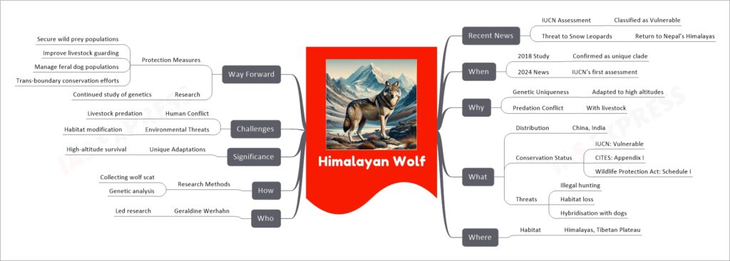 Himalayan Wolf mind map
Recent News
IUCN Assessment
Classified as Vulnerable
Threat to Snow Leopards
Return to Nepal’s Himalayas
When
2018 Study
Confirmed as unique clade
2024 News
IUCN's first assessment
Why
Genetic Uniqueness
Adapted to high altitudes
Predation Conflict
With livestock
What
Distribution
China, India
Conservation Status
IUCN: Vulnerable
CITES: Appendix I
Wildlife Protection Act: Schedule I
Threats
Illegal hunting
Habitat loss
Hybridisation with dogs
Where
Habitat
Himalayas, Tibetan Plateau
Who
Geraldine Werhahn
Led research
How
Research Methods
Collecting wolf scat
Genetic analysis
Significance
Unique Adaptations
High-altitude survival
Challenges
Human Conflict
Livestock predation
Environmental Threats
Habitat modification
Way Forward
Protection Measures
Secure wild prey populations
Improve livestock guarding
Manage feral dog populations
Trans-boundary conservation efforts
Research
Continued study of genetics