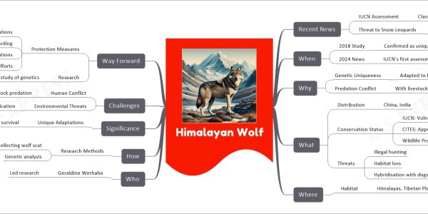 Himalayan Wolf mind map Recent News IUCN Assessment Classified as Vulnerable Threat to Snow Leopards Return to Nepal’s Himalayas When 2018 Study Confirmed as unique clade 2024 News IUCN's first assessment Why Genetic Uniqueness Adapted to high altitudes Predation Conflict With livestock What Distribution China, India Conservation Status IUCN: Vulnerable CITES: Appendix I Wildlife Protection Act: Schedule I Threats Illegal hunting Habitat loss Hybridisation with dogs Where Habitat Himalayas, Tibetan Plateau Who Geraldine Werhahn Led research How Research Methods Collecting wolf scat Genetic analysis Significance Unique Adaptations High-altitude survival Challenges Human Conflict Livestock predation Environmental Threats Habitat modification Way Forward Protection Measures Secure wild prey populations Improve livestock guarding Manage feral dog populations Trans-boundary conservation efforts Research Continued study of genetics