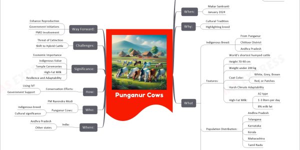 Punganur Cows mind map Recent News: PM Modi: Fed Cows: On Makar Sankranti At residence In New Delhi When: Makar Sankranti January 2024 Why: Cultural Tradition Highlighting breed What Indigenous Breed: From Punganur Chittoor District Andhra Pradesh Features: World's shortest humped cattle Height 70-90 cm Weight under 200 kg Coat Color: White, Grey, Brown Red, or Patches Harsh Climate Adaptability High-Fat Milk: A2 type 1-3 liters per day 8% milk fat Population Distribution: Andhra Pradesh Telangana Karnataka Kerala Maharashtra Tamil Nadu Conservation Efforts: Mission Punganur IVF Technology Centre's Funding Where: India: Andhra Pradesh Other states Who: PM Narendra Modi Punganur Cows: Indigenous breed Cultural significance How: Conservation Efforts: Using IVF Government Support Significance: Economic Importance Indigenous Value Temple Ceremonies High-Fat Milk Resilience and Adaptability Challenges: Threat of Extinction Shift to Hybrid Cattle Way Forward: Enhance Reproduction Government Initiatives PMO Involvement