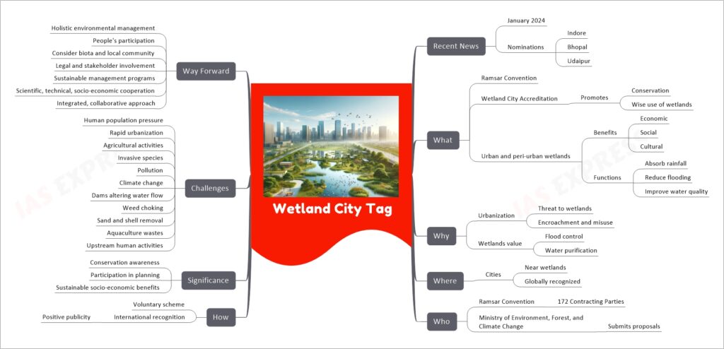 Wetland City Tag mind map
  Recent News
    January 2024
    Nominations
      Indore
      Bhopal
      Udaipur
  What
    Ramsar Convention
    Wetland City Accreditation
      Promotes
        Conservation
        Wise use of wetlands
    Urban and peri-urban wetlands
      Benefits
        Economic
        Social
        Cultural
      Functions
        Absorb rainfall
        Reduce flooding
        Improve water quality
  Why
    Urbanization
      Threat to wetlands
      Encroachment and misuse
    Wetlands value
      Flood control
      Water purification
  Where
    Cities
      Near wetlands
      Globally recognized
  Who
    Ramsar Convention
      172 Contracting Parties
    Ministry of Environment, Forest, and Climate Change
      Submits proposals
  How
    Voluntary scheme
    International recognition
      Positive publicity
  Significance
    Conservation awareness
    Participation in planning
    Sustainable socio-economic benefits
  Challenges
    Human population pressure
    Rapid urbanization
    Agricultural activities
    Invasive species
    Pollution
    Climate change
    Dams altering water flow
    Weed choking
    Sand and shell removal
    Aquaculture wastes
    Upstream human activities
  Way Forward
    Holistic environmental management
    People's participation
    Consider biota and local community
    Legal and stakeholder involvement
    Sustainable management programs
    Scientific, technical, socio-economic cooperation
    Integrated, collaborative approach