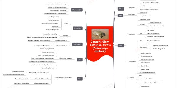 Cantor’s Giant Softshell Turtle (Pelochelys cantorii) mind map Recent News First-ever nesting report Date: February 20, 2024 Location: Chandragiri River, Kerala, India Source: University of Portsmouth Threats Illegal egg collection Trade and consumption Habitat loss Potential threat from hydro-electric dam Local awareness lacking Conservation efforts by WCS When Discovery Year: 2007 Location: Mekong river, Cambodia Why Importance Conservation Ecological balance What Description Freshwater turtle Lifespan Mostly underground Eyes and nose protruding Diet Carnivorous Eats fish, crustaceans Occasional plant consumption Size Length: up to 2 meters Reproduction Egg-laying: February/March Number of eggs: 20-30 Classification Order: Testudines Family: Trionychidae Population: Uncommon Trend: Unknown Size: 60-100cm Weight: 100kg Where Habitat Freshwater streams and rivers Banks Lowland aquatic habitats Lakes, rivers, streams, swamps, estuaries Distribution Southeast Asia Countries Bangladesh Thailand Vietnam Indonesia Philippines Malaysia Cambodia India Who Key Individuals and Organizations WCS (Wildlife Conservation Society) Conservation activities Awareness and outreach programmes University of Portsmouth Research and conservation EDGE program researchers International collaboration How Conservation Strategies Community engagement Awareness programs Government policy advocacy Legal Community Fisheries establishment Livelihood improvement for reducing threats Utilization of local ecological knowledge Interview-based surveys Significance Ecological importance Maintains balance in aquatic ecosystems Cultural significance Part of local heritage and folklore Challenges Threats Poaching for meat Habitat destruction Accidental killing in fishing gear Sand mining Hydro-electric projects Challenges Low detection probability Lack of comprehensive data for conservation planning Way Forward Continued research and monitoring Collaborative international efforts Local community involvement Updated conservation status assessment