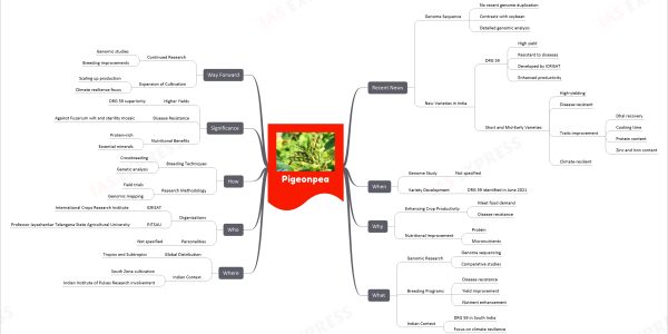 Pigeonpea mind map Recent News Genome Sequence No recent genome duplication Contrasts with soybean Detailed genomic analysis New Varieties in India DRG 59 High yield Resistant to diseases Developed by ICRISAT Enhanced productivity Short and Mid-Early Varieties High-yielding Disease-resistant Traits improvement Dhal recovery Cooking time Protein content Zinc and Iron content Climate-resilient When Genome Study Not specified Variety Development DRG 59 identified in June 2021 Why Enhancing Crop Productivity Meet food demand Disease resistance Nutritional Improvement Protein Micronutrients What Genomic Research Genome sequencing Comparative studies Breeding Programs Disease resistance Yield improvement Nutrient enhancement Indian Context DRG 59 in South India Focus on climate resilience Where Global Distribution Tropics and Subtropics Indian Context South Zone cultivation Indian Institute of Pulses Research involvement Who Organizations ICRISAT International Crops Research Institute PJTSAU Professor Jayashankar Telangana State Agricultural University Personalities Not specified How Breeding Techniques Crossbreeding Genetic analysis Research Methodology Field trials Genomic mapping Significance Higher Yields DRG 59 superiority Disease Resistance Against Fusarium wilt and sterility mosaic Nutritional Benefits Protein-rich Essential minerals Way Forward Continued Research Genomic studies Breeding improvements Expansion of Cultivation Scaling up production Climate resilience focus