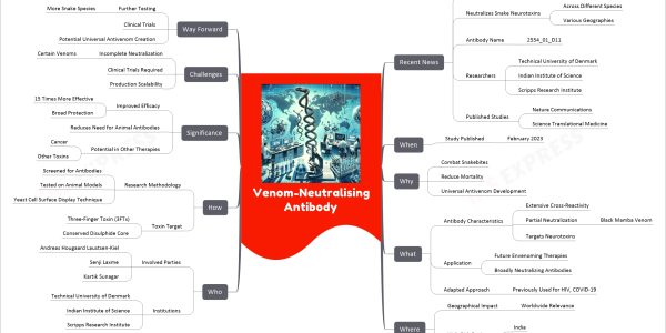 Venom-Neutralising Antibody mind map Recent News Synthetic Human Antibody Developed Neutralizes Snake Neurotoxins Across Different Species Various Geographies Antibody Name 2554_01_D11 Researchers Technical University of Denmark Indian Institute of Science Scripps Research Institute Published Studies Nature Communications Science Translational Medicine When Study Published February 2023 Why Combat Snakebites Reduce Mortality Universal Antivenom Development What Antibody Characteristics Extensive Cross-Reactivity Partial Neutralization Black Mamba Venom Targets Neurotoxins Application Future Envenoming Therapies Broadly Neutralizing Antibodies Adapted Approach Previously Used for HIV, COVID-19 Where Geographical Impact Worldwide Relevance High-Risk Regions India Sub-Saharan Africa Who Involved Parties Andreas Hougaard Laustsen-Kiel Senji Laxme Kartik Sunagar Institutions Technical University of Denmark Indian Institute of Science Scripps Research Institute How Research Methodology Screened for Antibodies Tested on Animal Models Yeast Cell Surface Display Technique Toxin Target Three-Finger Toxin (3FTx) Conserved Disulphide Core Significance Improved Efficacy 15 Times More Effective Broad Protection Reduces Need for Animal Antibodies Potential in Other Therapies Cancer Other Toxins Challenges Incomplete Neutralization Certain Venoms Clinical Trials Required Production Scalability Way Forward Further Testing More Snake Species Clinical Trials Potential Universal Antivenom Creation