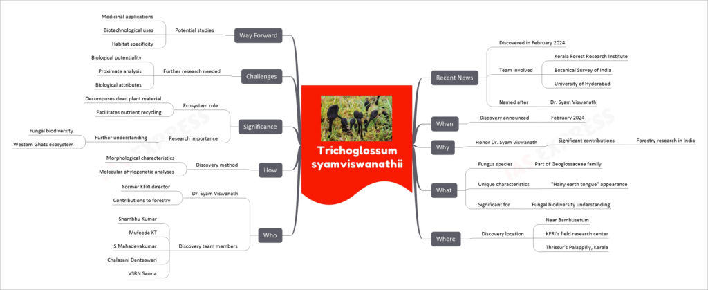 Trichoglossum syamviswanathii mind map
Recent News
Discovered in February 2024
Team involved
Kerala Forest Research Institute
Botanical Survey of India
University of Hyderabad
Named after
Dr. Syam Viswanath
When
Discovery announced
February 2024
Why
Honor Dr. Syam Viswanath
Significant contributions
Forestry research in India
What
Fungus species
Part of Geoglossaceae family
Unique characteristics
"Hairy earth tongue" appearance
Significant for
Fungal biodiversity understanding
Where
Discovery location
Near Bambusetum
KFRI’s field research center
Thrissur's Palappilly, Kerala
Who
Dr. Syam Viswanath
Former KFRI director
Contributions to forestry
Discovery team members
Shambhu Kumar
Mufeeda KT
S Mahadevakumar
Chalasani Danteswari
VSRN Sarma
How
Discovery method
Morphological characteristics
Molecular phylogenetic analyses
Significance
Ecosystem role
Decomposes dead plant material
Facilitates nutrient recycling
Research importance
Further understanding
Fungal biodiversity
Western Ghats ecosystem
Challenges
Further research needed
Biological potentiality
Proximate analysis
Biological attributes
Way Forward
Potential studies
Medicinal applications
Biotechnological uses
Habitat specificity