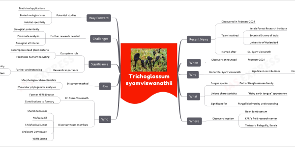 Trichoglossum syamviswanathii mind map   Recent News     Discovered in February 2024     Team involved       Kerala Forest Research Institute       Botanical Survey of India       University of Hyderabad     Named after       Dr. Syam Viswanath   When     Discovery announced       February 2024   Why     Honor Dr. Syam Viswanath       Significant contributions         Forestry research in India   What     Fungus species       Part of Geoglossaceae family     Unique characteristics       "Hairy earth tongue" appearance     Significant for       Fungal biodiversity understanding   Where     Discovery location       Near Bambusetum       KFRI’s field research center       Thrissur's Palappilly, Kerala   Who     Dr. Syam Viswanath       Former KFRI director       Contributions to forestry     Discovery team members       Shambhu Kumar       Mufeeda KT       S Mahadevakumar       Chalasani Danteswari       VSRN Sarma   How     Discovery method       Morphological characteristics       Molecular phylogenetic analyses   Significance     Ecosystem role       Decomposes dead plant material       Facilitates nutrient recycling     Research importance       Further understanding         Fungal biodiversity         Western Ghats ecosystem   Challenges     Further research needed       Biological potentiality       Proximate analysis       Biological attributes   Way Forward     Potential studies       Medicinal applications       Biotechnological uses       Habitat specificity