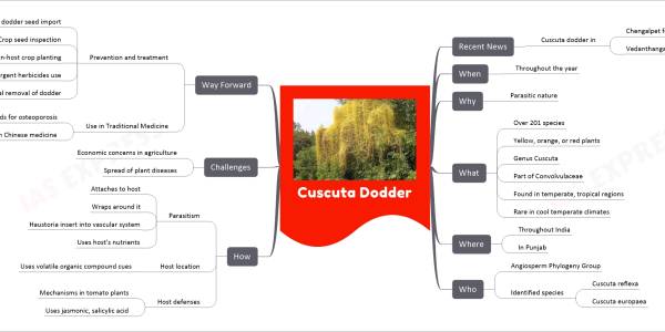 Cuscuta Dodder mind map Recent News Cuscuta dodder in Chengalpet forests Vedanthangal Bird Sanctuary When Throughout the year Why Parasitic nature What Over 201 species Yellow, orange, or red plants Genus Cuscuta Part of Convolvulaceae Found in temperate, tropical regions Rare in cool temperate climates Where Throughout India In Punjab Who Angiosperm Phylogeny Group Identified species Cuscuta reflexa Cuscuta europaea How Parasitism Attaches to host Wraps around it Haustoria insert into vascular system Uses host's nutrients Host location Uses volatile organic compound cues Host defenses Mechanisms in tomato plants Uses jasmonic, salicylic acid Challenges Economic concerns in agriculture Spread of plant diseases Way Forward Prevention and treatment Laws against dodder seed import Crop seed inspection Non-host crop planting Preemergent herbicides use Physical removal of dodder Use in Traditional Medicine C. chinensis seeds for osteoporosis Common in Chinese medicine