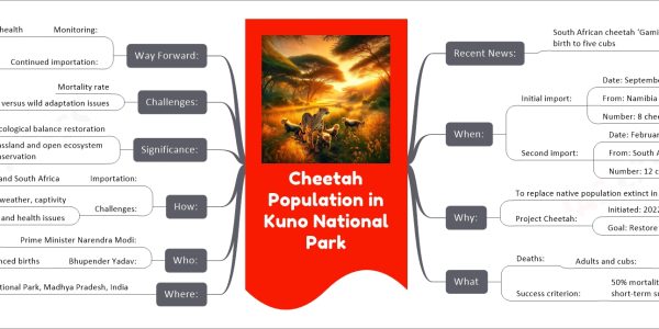 Cheetah Population in Kuno National Park mind map   Recent News:     South African cheetah ‘Gamini’ has given birth to five cubs       at Kuno National Park   When:     Initial import:       Date: September 2022       From: Namibia       Number: 8 cheetahs     Second import:       Date: February 2023       From: South Africa       Number: 12 cheetahs   Why:     To replace native population extinct in 1948     Project Cheetah:       Initiated: 2022       Goal: Restore ecological balance   What     Deaths:       Adults and cubs:         Cause: Various, including heat, dehydration, maggot infestation     Success criterion:       50% mortality in first year considered short-term success   Where:     Location: Kuno National Park, Madhya Pradesh, India   Who:     Prime Minister Narendra Modi:       Role: Received the animals     Bhupender Yadav:       Role: Environment Minister, announced births   How:     Importation:       Method: Flown from Namibia and South Africa     Challenges:       Adaptation: Humidity, weather, captivity       Deaths: Linked to environmental and health issues   Significance:     Ecological balance restoration     Grassland and open ecosystem conservation   Challenges:     Mortality rate     Captivity versus wild adaptation issues   Way Forward:     Monitoring:       Behaviour and health     Continued importation:       Agreement with South Africa for 100 cheetahs over next decade