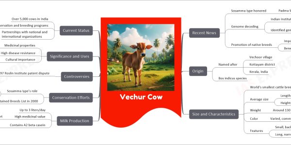 Vechur Cow mind map Recent News Sosamma Iype honored Padma Shri for native cow breed conservation Genome decoding Indian Institute of Science Education and Research Identified gene variations Milk quality Disease resistance Promotion of native breeds Importance of genetic diversity Benefits of indigenous cattle Origin Named after Vechoor village Kottayam district Kerala, India Bos indicus species Size and Characteristics World's smallest cattle breed Guinness World Records recognition Average size Length: 124 cm Height: 87 cm Weight Around 130 kg Color Varied, commonly light red or black Features Small, backward-curved horns Long, narrow face Milk Production Up to 3 liters/day High medicinal value Ayurveda and scientific studies support Contains A2 beta casein Beneficial over A1 variant Conservation Efforts Sosamma Iype's role 1989 conservation unit establishment 1998 Vechur Conservation Trust formation FAO Critical-Maintained Breeds List in 2000 Controversies 1997 Roslin Institute patent dispute Alleged genetic code piracy Claims found baseless Significance and Uses Medicinal properties Milk and Ghee High disease resistance Cultural importance Once given as wedding gifts Current Status Over 5,000 cows in India Focused conservation and breeding programs Partnerships with national and international organizations