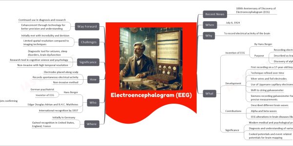 Electroencephalogram (EEG)
