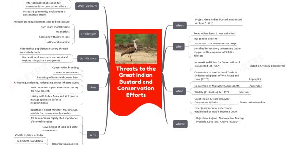 Threats to the Great Indian Bustard and Conservation Efforts