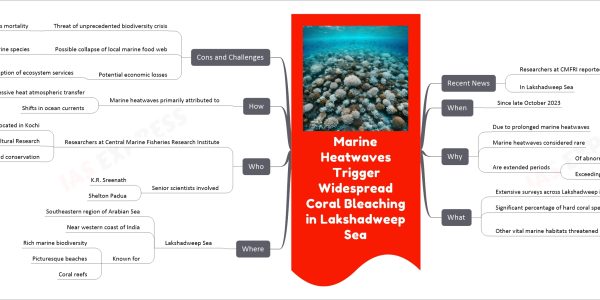 Marine Heatwaves Trigger Widespread Coral Bleaching in Lakshadweep Sea