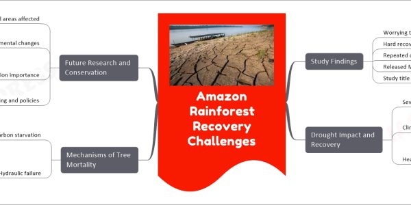 Amazon Rainforest Recovery Challenges
