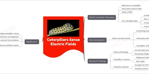 Caterpillars Sense Electric Fields