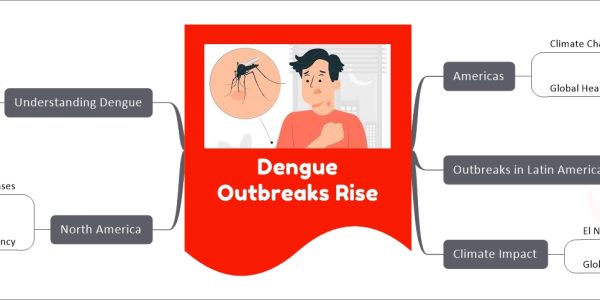 Dengue Outbreaks Rise