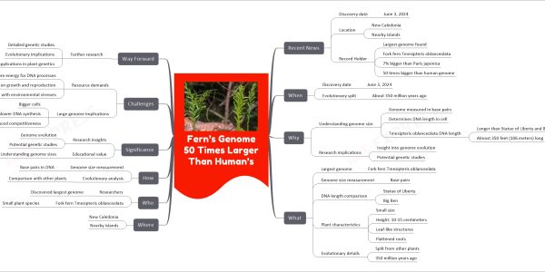 Fern’s Genome 50 Times Larger Than Human’s