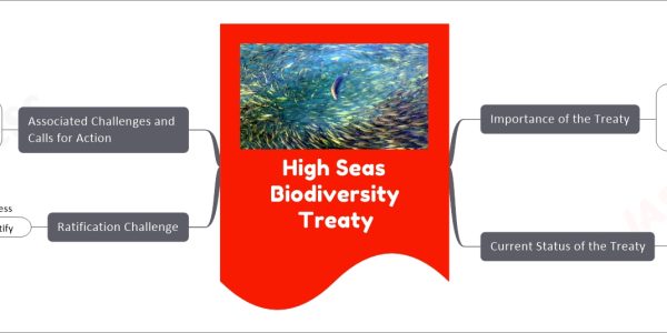 High Seas Biodiversity Treaty