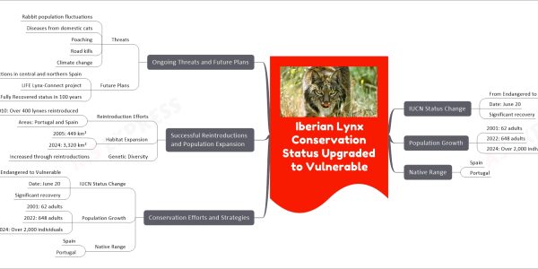 Iberian Lynx Conservation Status Upgraded to Vulnerable