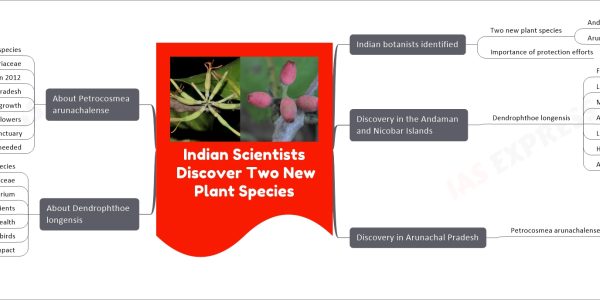 Indian Scientists Discover Two New Plant Species