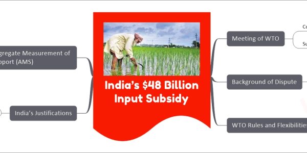 India’s $48 Billion Input Subsidy