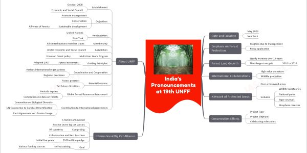 India’s Pronouncements at 19th UNFF