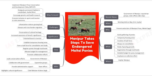 Manipur Takes Steps To Save Endangered Meitei Ponies