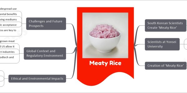 Meaty Rice