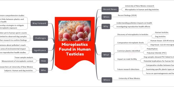 Microplastics Found in Human Testicles