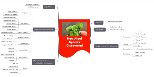 New Algal Species Discovered