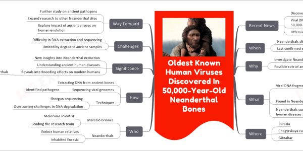 Oldest Known Human Viruses Discovered In 50,000-Year-Old Neanderthal Bones