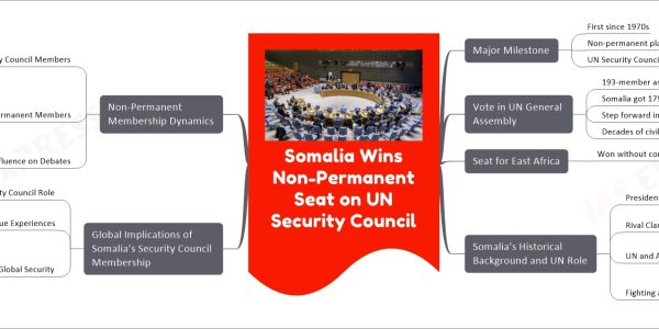 Somalia Wins Non-Permanent Seat on UN Security Council