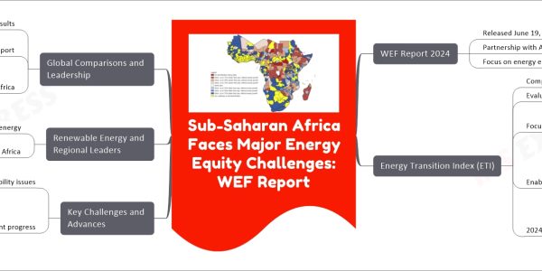 Sub-Saharan Africa Faces Major Energy Equity Challenges: WEF Report
