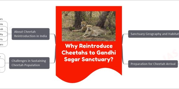 Why Reintroduce Cheetahs to Gandhi Sagar Sanctuary?