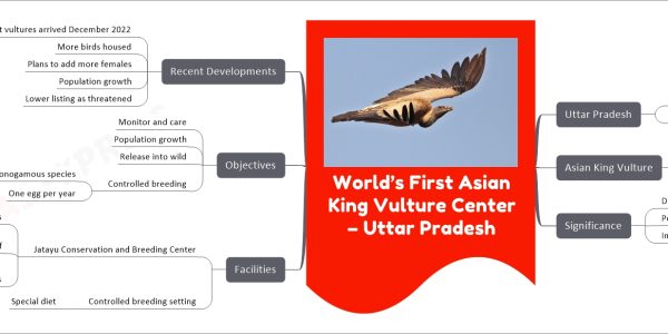 World’s First Asian King Vulture Center – Uttar Pradesh