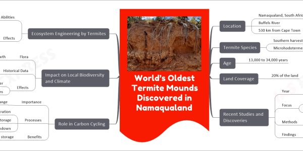 World’s Oldest Termite Mounds Discovered in Namaqualand