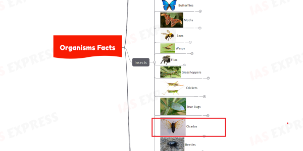 The organisms "Cicada, Froghopper and Pond skater" are: